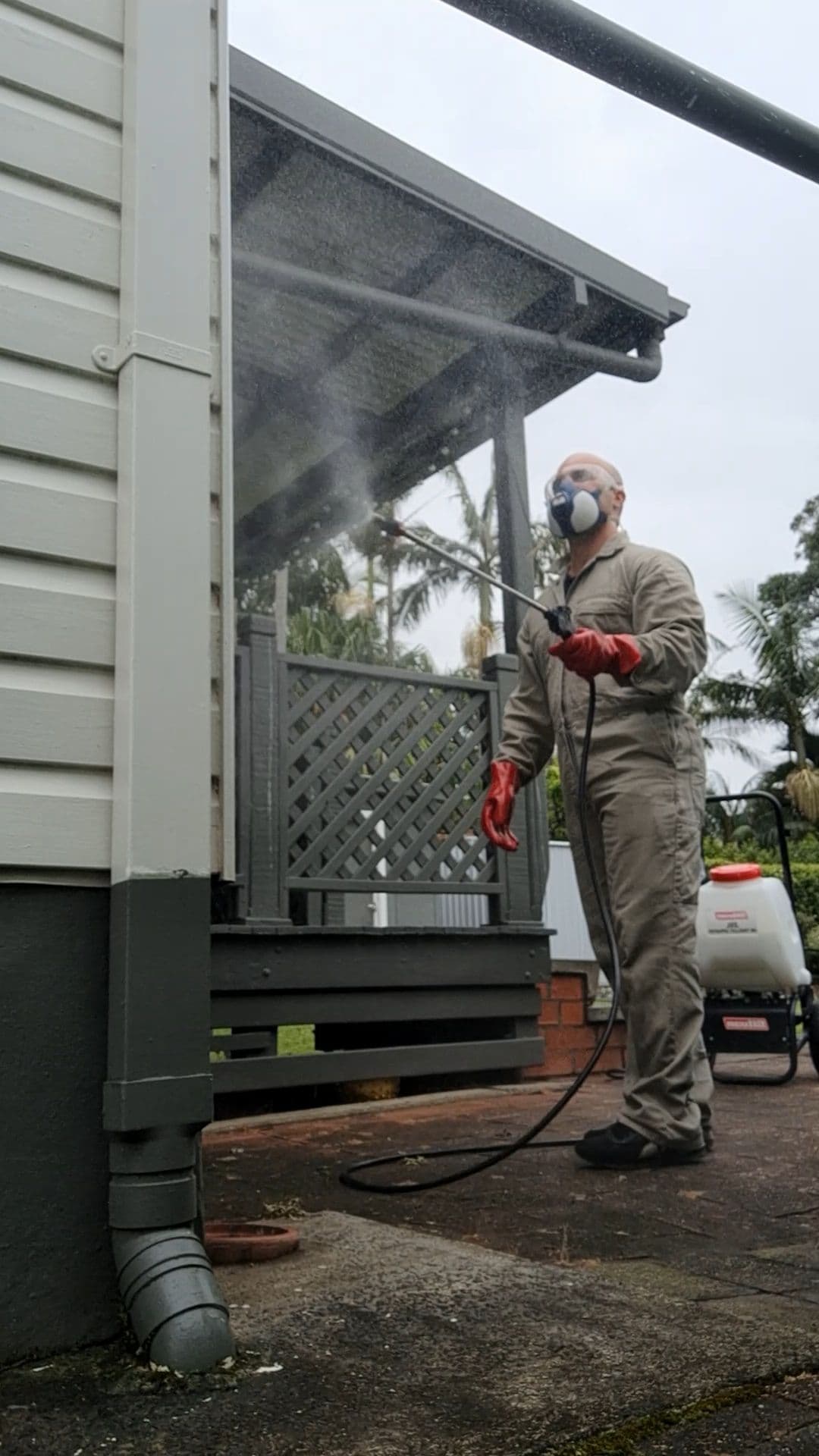 Pest control service image 1