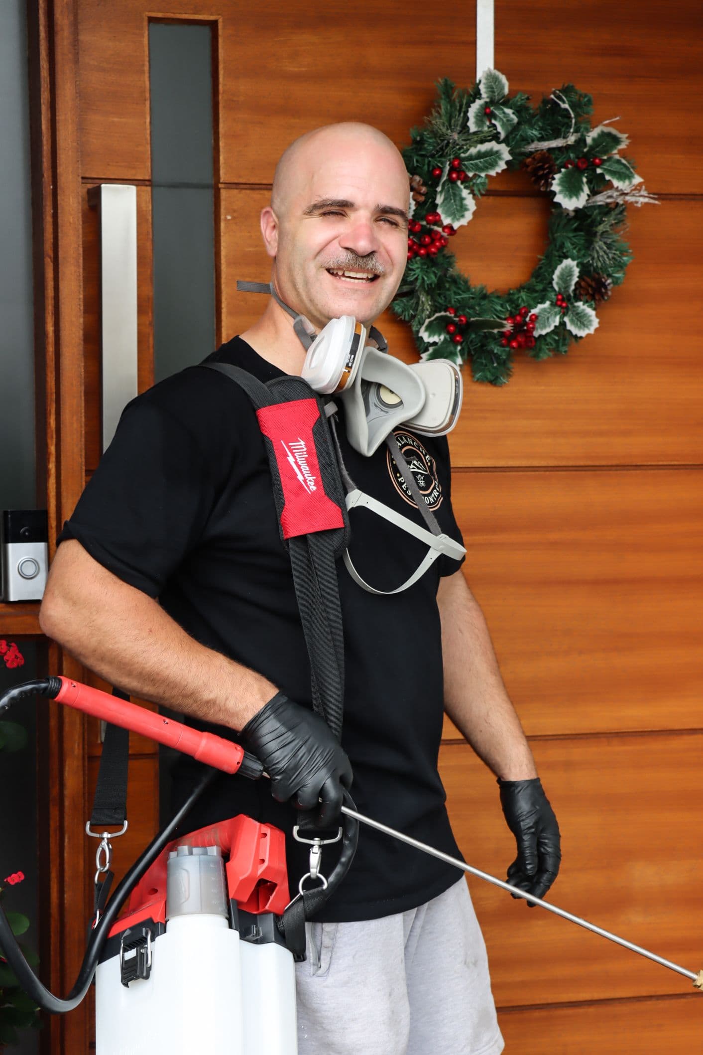 Pest control service image 5