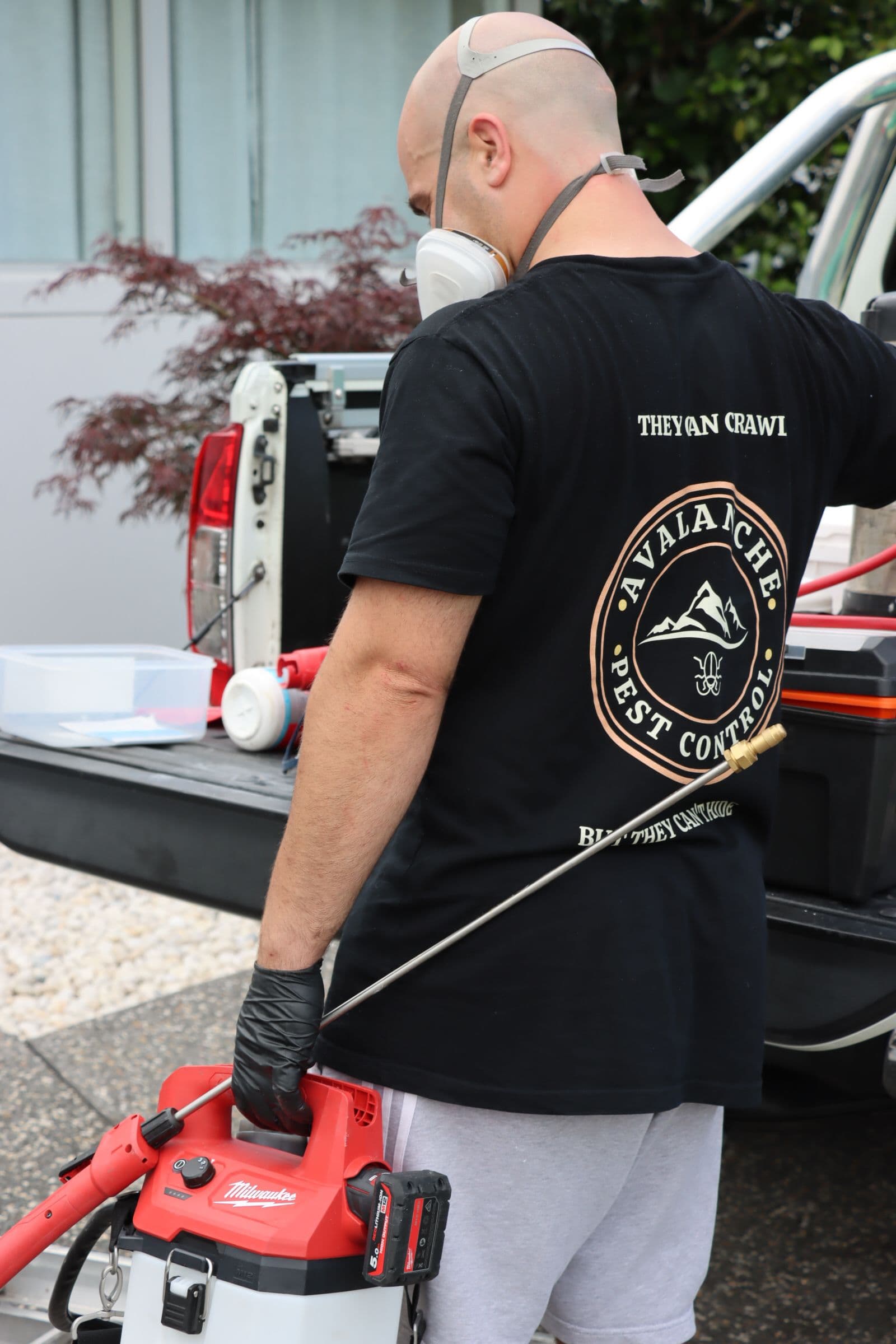 Pest control service in Wollongong