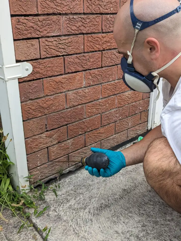 Treating the base of a brick wall for spiders and ants