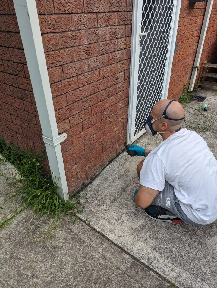 Treating around an external doorway and weep holes