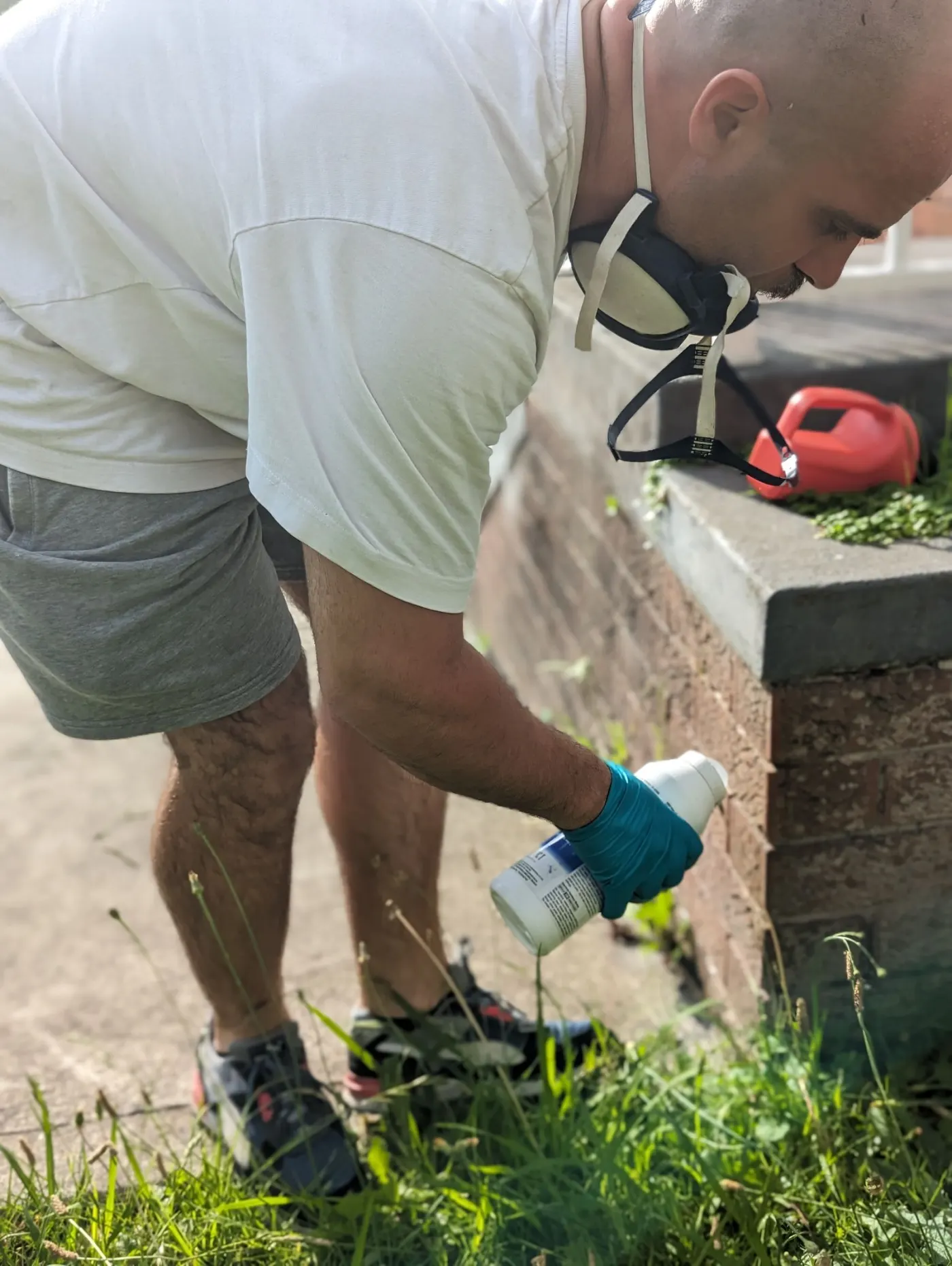 Applying a targeted treatment along a garden edge